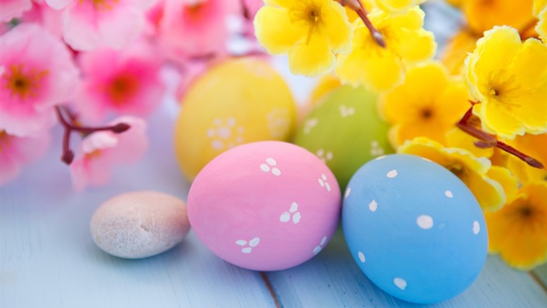 Easter Eggs and Spring Blossoms Wallpaper