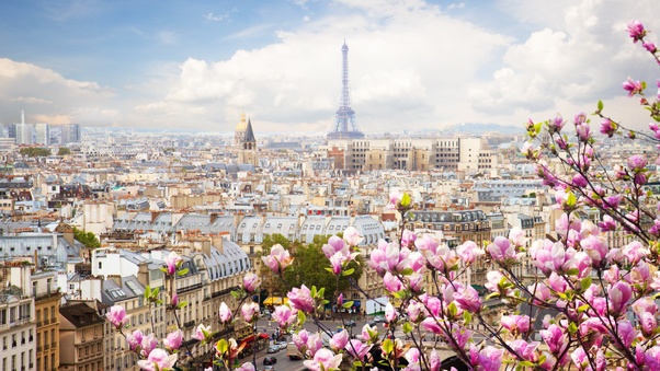 Eiffel Tower France Flowers Beautiful 4k Wallpaper