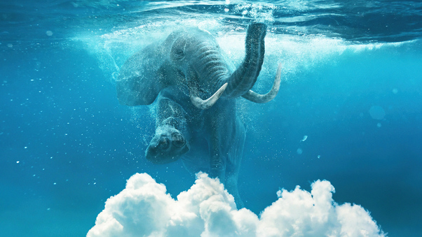 Elephant Under Water Manipulation 4k Wallpaper