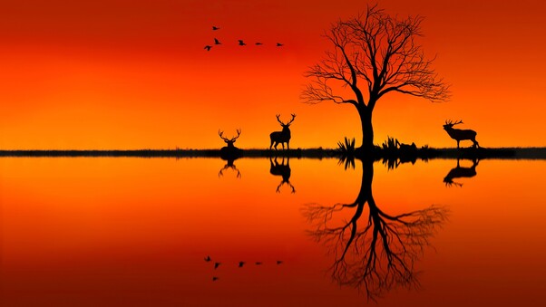 Elk On Horizon Sunset Evening Wallpaper