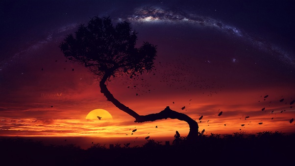 Evening Tree Sunset Digital Art Wallpaper