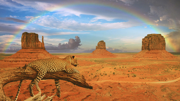 Fantasy Leopard Rainbow Wallpaper