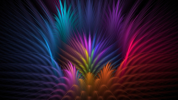 Feathers Colorful Petals Wallpaper