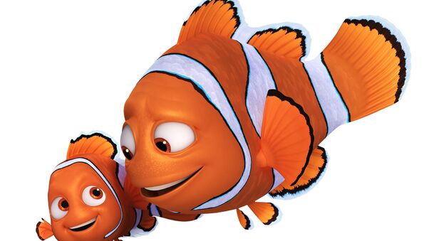 Finding Dory Nemo Wallpaper