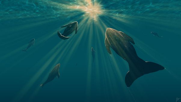 Fish Light Underwater Digital Art Wallpaper