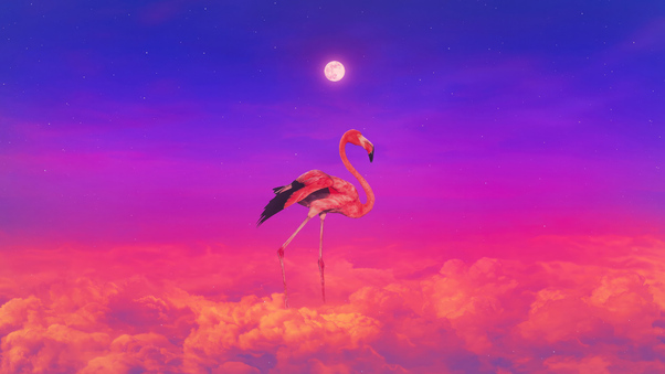 flamingo-colorful-4k-um.jpg
