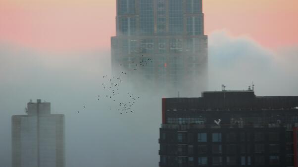 Flock Of Birds Over A Foggy Seattle 5k Wallpaper
