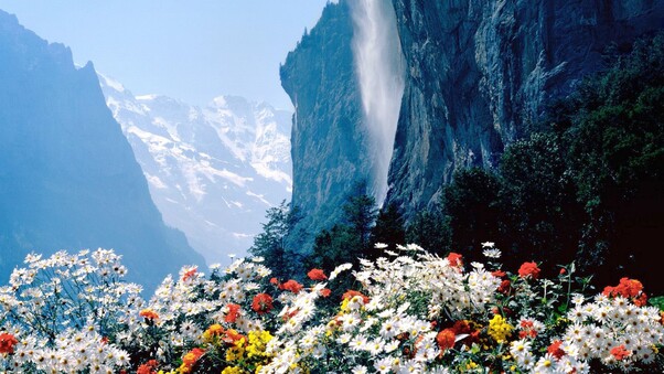Flowers Mountains Cliff Wallpaper