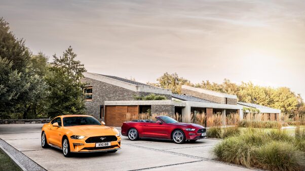 Ford Mustang GT Fastback And EcoBoost Convertible Wallpaper