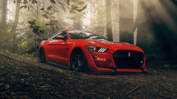 Ford Mustang Gt Forest Lord 5k Wallpaper