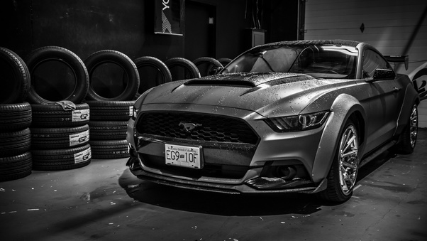 Ford Mustang Monochrome 4k Wallpaper