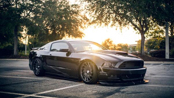 Ford Mustang Shellby Black Wallpaper