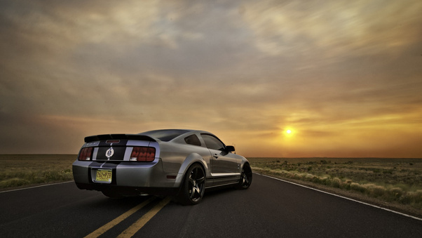 Ford Mustang Silver Wallpaper