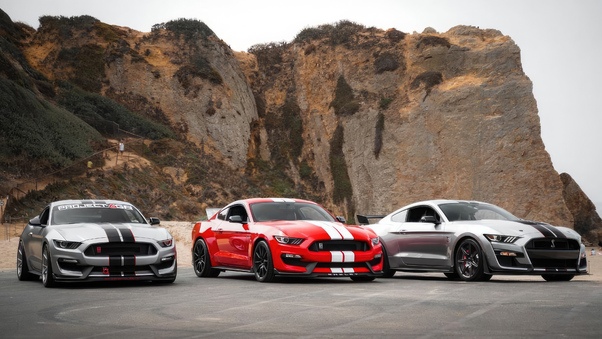 Ford Shelby Squad Wallpaper