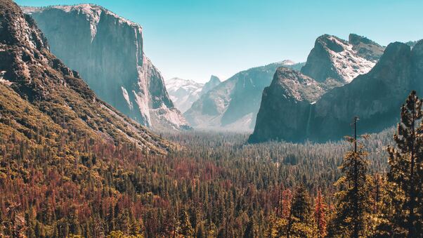 Forest Mountain Yosemite Valley 5k Wallpaper