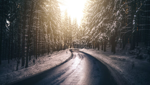 Forest Nature Road Snow Tree Winter 5k Wallpaper