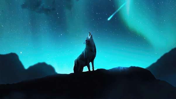 Fox Howling Night Stars 4k Wallpaper