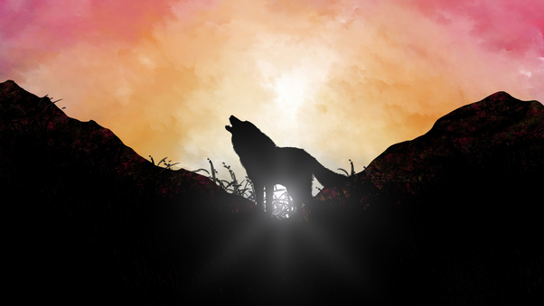 Fox Howling Sunrise 5k Wallpaper