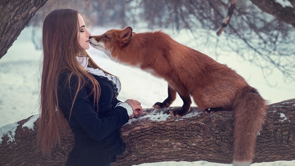 Fox With Girl Depth Of Field Wallpaper