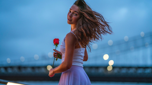 Girl Holding Rose Looking Back 5k Wallpaper