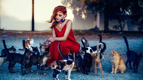 Girl In Red Dress Playing With Cats 4k Wallpaper