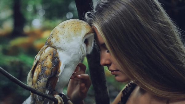 Girl With Owl Wallpaper