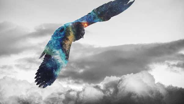Golden Eagle Flying Galaxy Photoshop Wallpaper