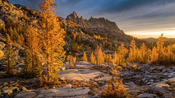 Golden Larch Forest And Prusik Peak Wallpaper