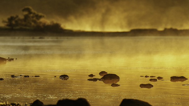 Golden Silence In Morning (2560x1080) Resolution Wallpaper