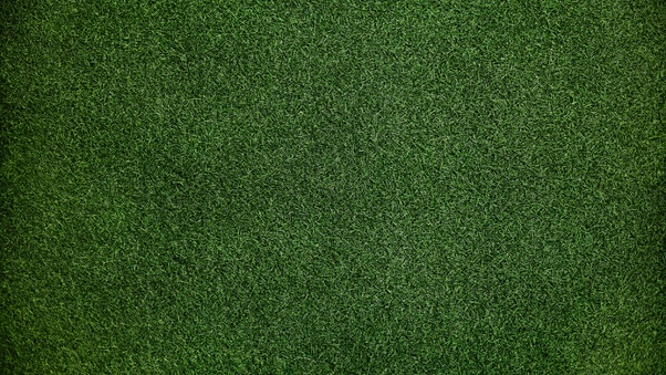 Grass Background Wallpaper