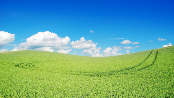 Green Landscape Beautiful Wallpaper