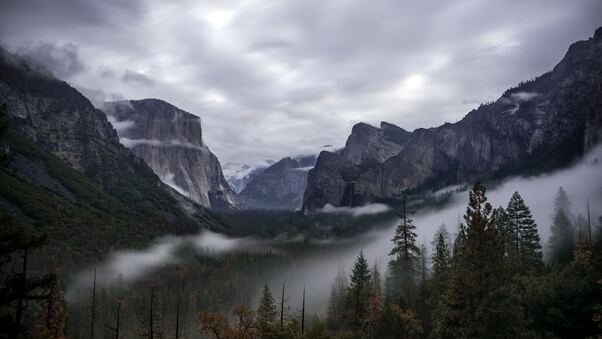 Grey Yosemite Valley Wallpaper