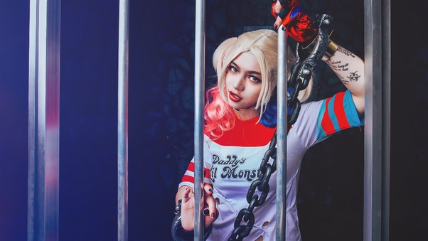 Harley Quinn Woman Cosplay HD Wallpaper