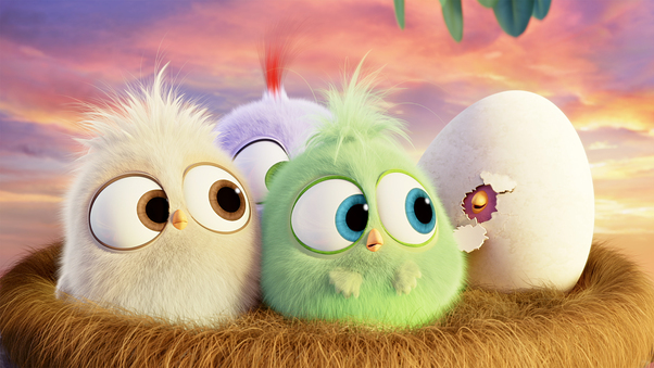Hatchlings Angry Birds Wallpaper