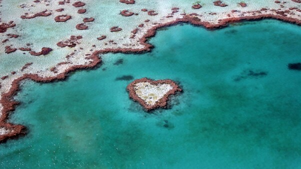 Heart Reef Australia Wallpaper