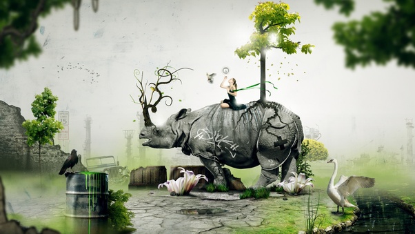 Hippopotamus Digital Art Wallpaper