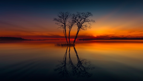 Horizon Lake Nature Reflection Sunset Tree Wallpaper