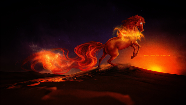 Horse Burning Digital Art Wallpaper