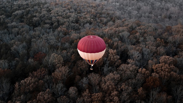 Hot Air Balloons Aerial View Forest Wallpaper