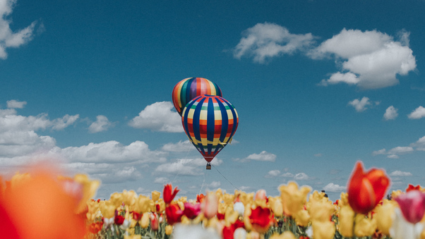 Hot Air Balloons White Red Yellow Tulip Flowers Wallpaper