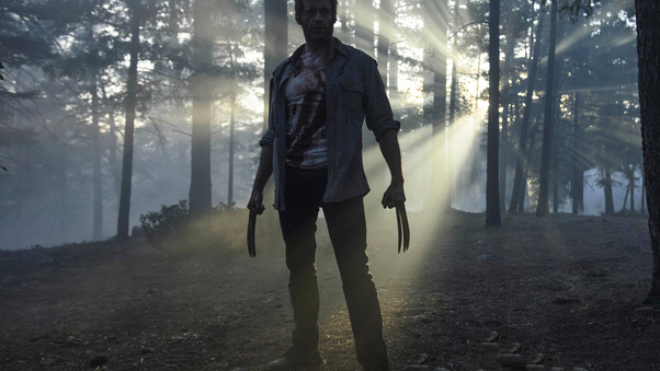 Hugh Jackman As Wolverine In Logan Wallpaper