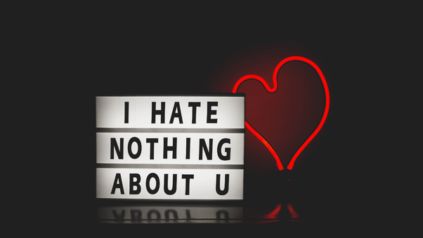 I Hate Nothing About You Wallpaper