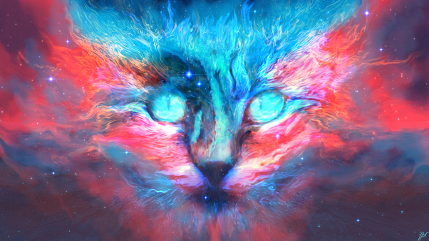 Into Dreams Cat Wallpaper