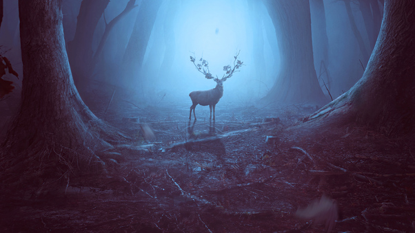 Into The Woods Reindeer 4k Wallpaper