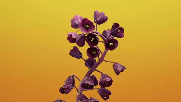 ios-11-flower-fritillaria-bb.jpg
