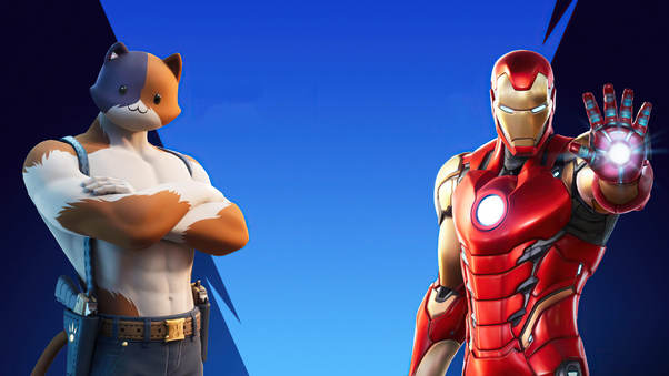 Iron Man And Meowscles In Fortnite Wallpaper