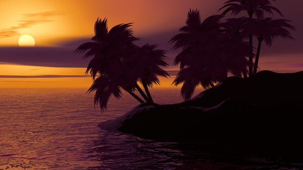 Island Palm Sunset Sky Wallpaper