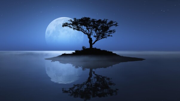 Island Sky Moon Tree Wallpaper