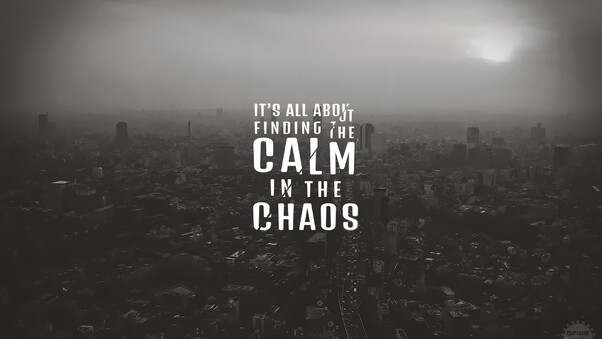 Its All About Finding The Calm In The Chaos Wallpaper