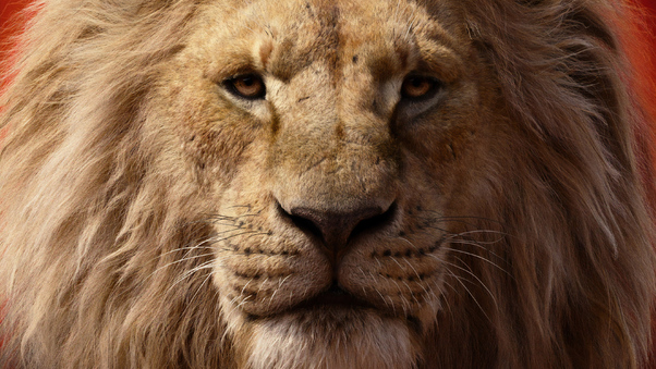 James Earl Jones As Mufasa The Lion King 2019 4k Wallpaper